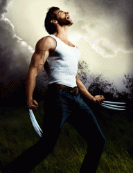 The Wolverine Release Date