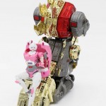 Arcee and dinobot foot