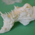 Beast lower jaw